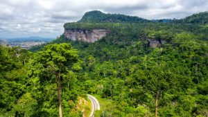 Image by Kofi Pare on X. 